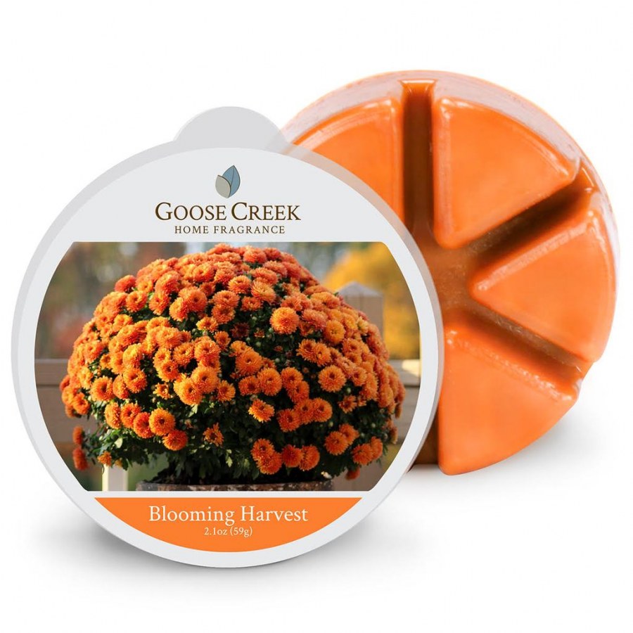 Vosk Goose Creek Blooming Harvest Vosk Goose Creek Blooming Harvest - Svíčky vosky