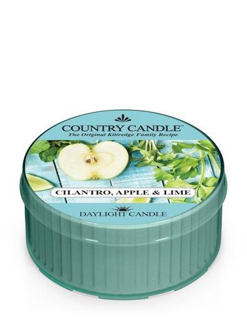 Votivní svíčka Cilantro Apple Lime Votivní svíčka Cilantro Apple Lime - Svíčky votivní svíčky
